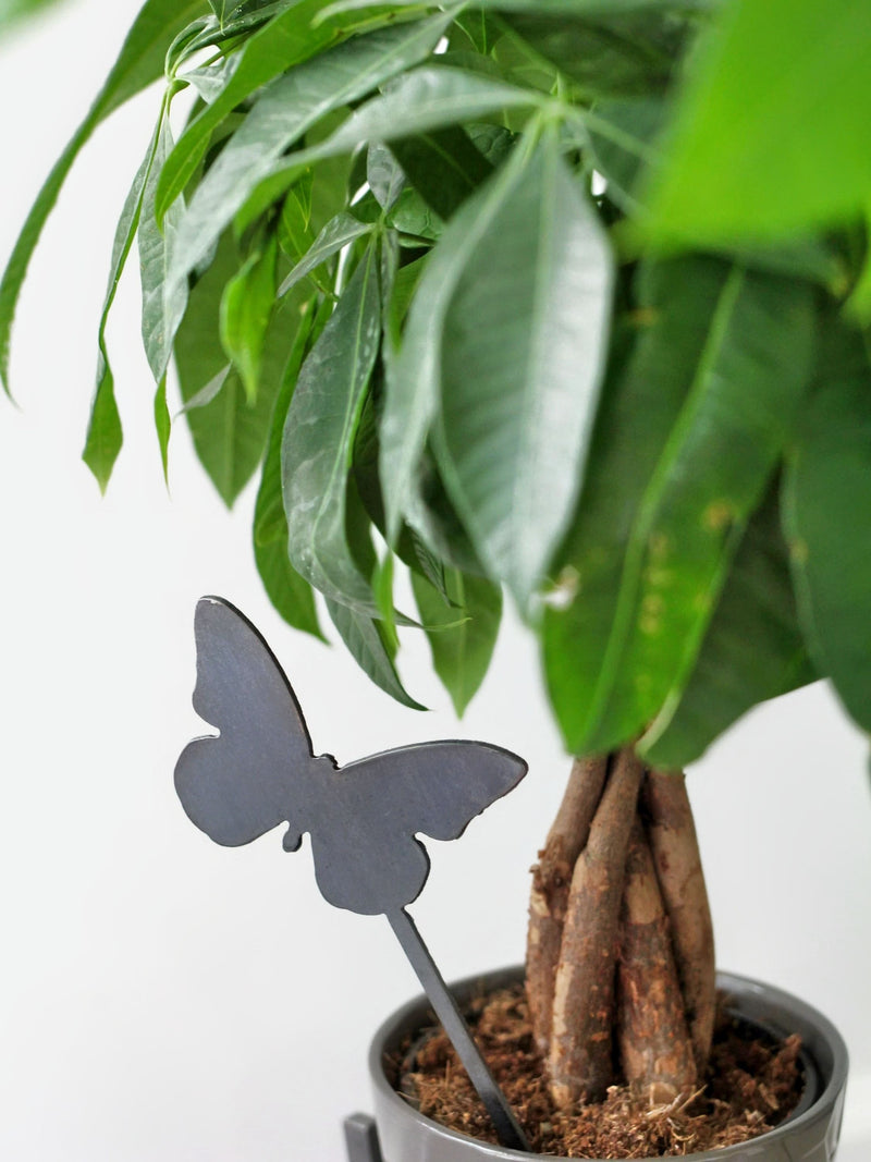 Butterfly Plant Stake with indoor plant from Harvest Array
