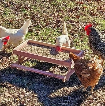 Handmade Cedar Chic-Nic Table Wooden Chicken Feeder