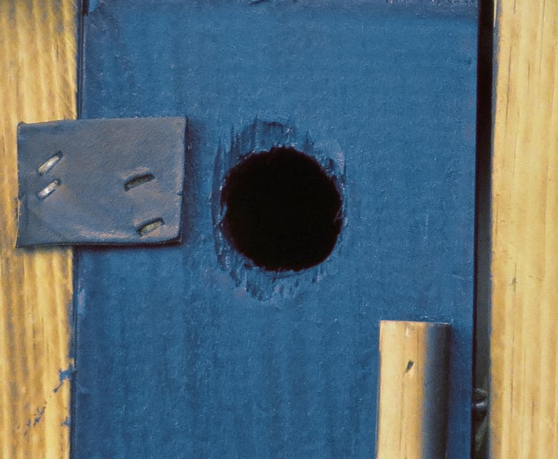 Blue His and Hers Large Double Outhouse Birdhouses, Made by the Amish in Lancaster, PA From Harvest Array