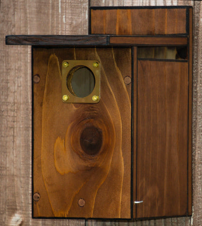 Dark Brown with Black Trim, Stained Cedar Wood Nesting Box/Birdhouse with squirrel guard