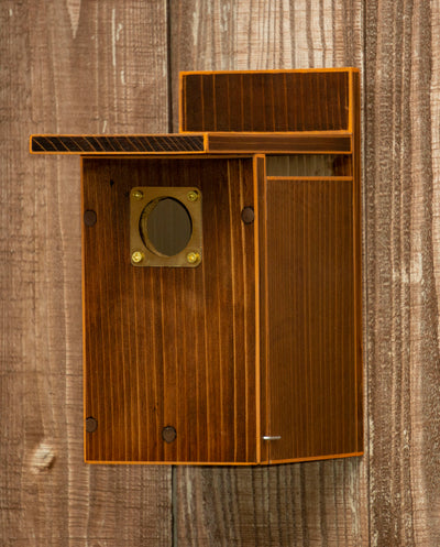 Dark Brown with Orange Trim, Stained Cedar Wood Nesting Box/Birdhouse with squirrel guard