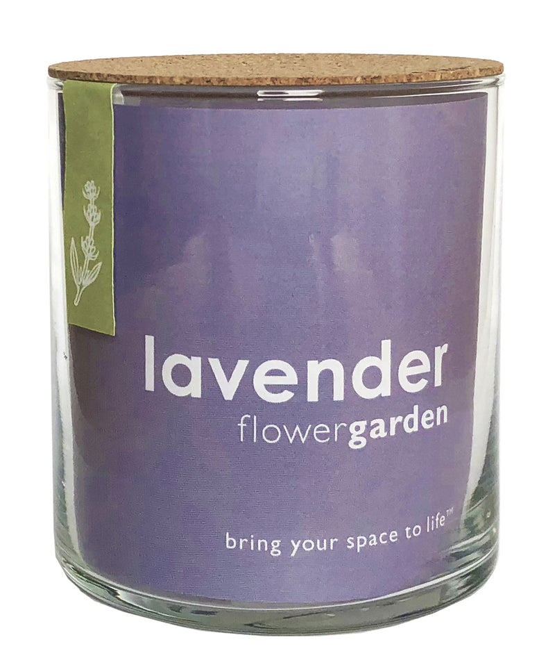 Lavender Flower Garden