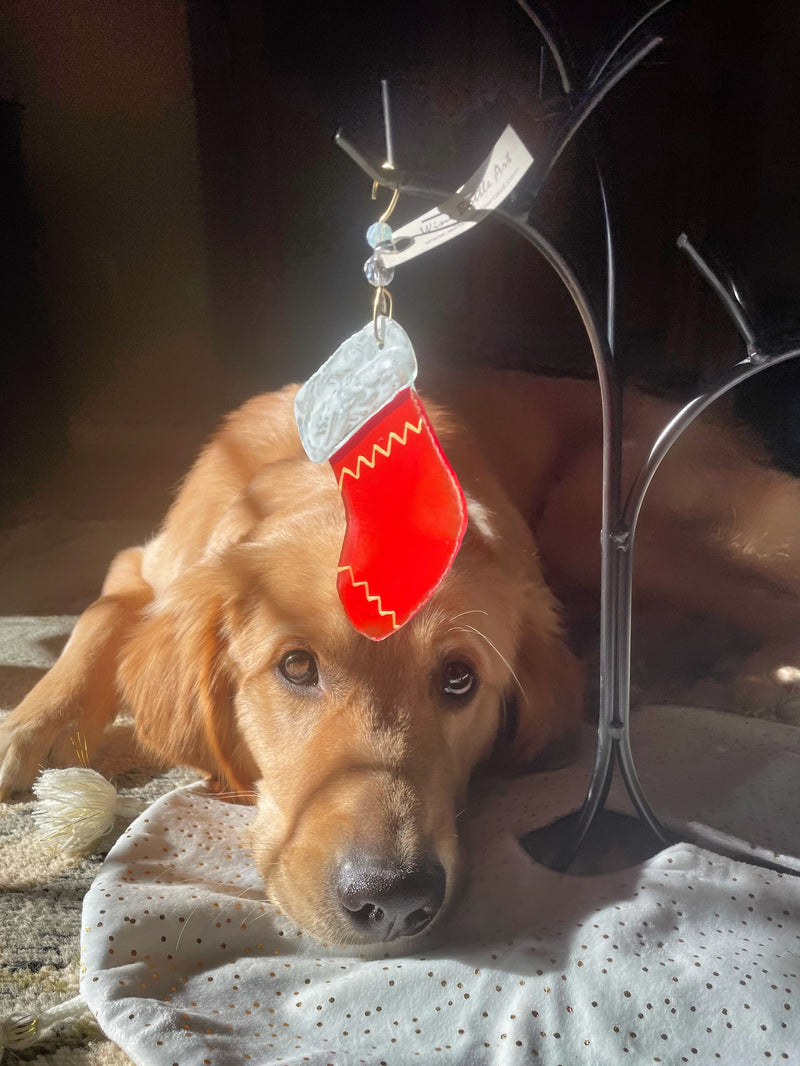 Geno with the Christmas Stocking Ornaments and Suncatchers