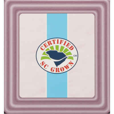 Charleston Tea Garden is Grown in South Carolina