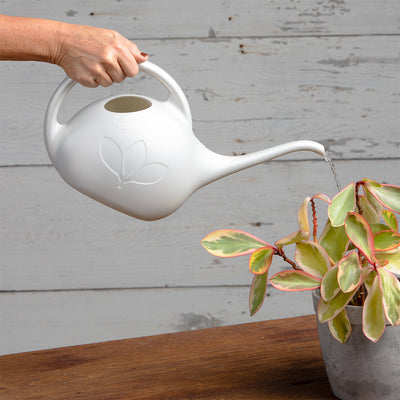 This Pearl Half-Gallon Watering Can is a great size for small house plants From Harvest Array