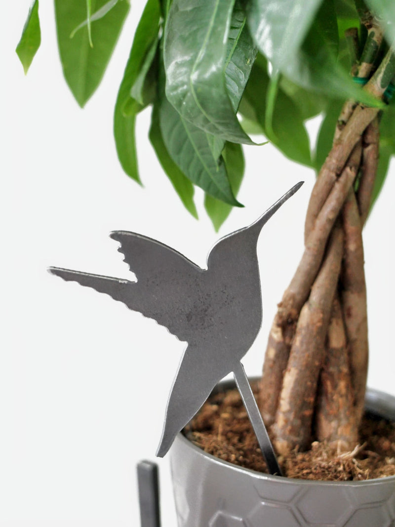 Humming Bird Plant Stake with indoor plant from Harvest Array