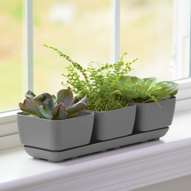 Gray Herb & Succulent Trio Planters are made in America from Harvest Array