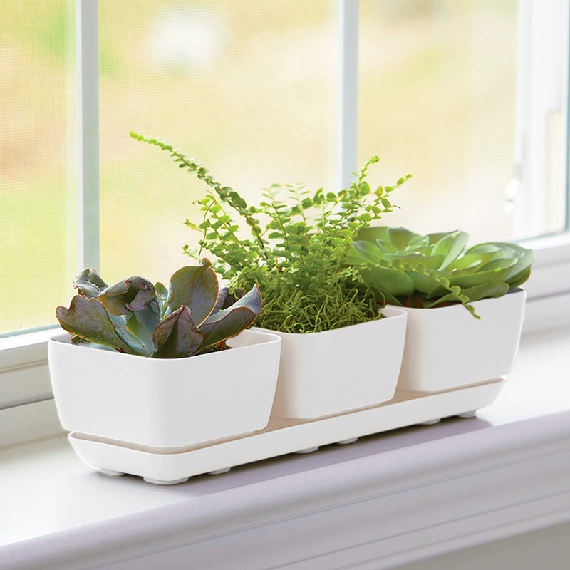 White Herb & Succulent Trio Planters are made in America from Harvest Array