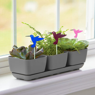 Mini Hummingbird Wooden Plant Stakes in a Trio Potted Planter for herbs or succulents