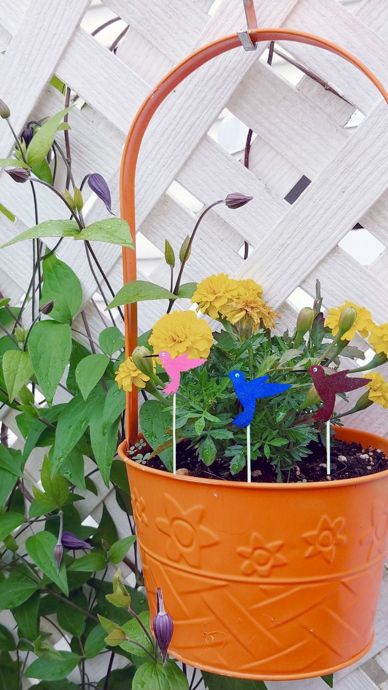Three Hummingbird Mini Plant Stakes in a hanging flower pot.
