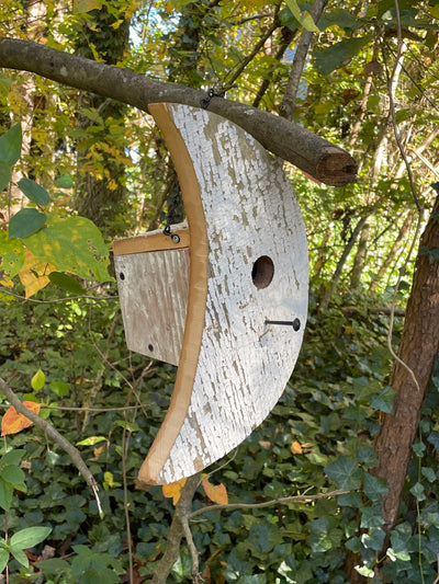 Side view of Moon Shaped Birdhouse showing nesting box