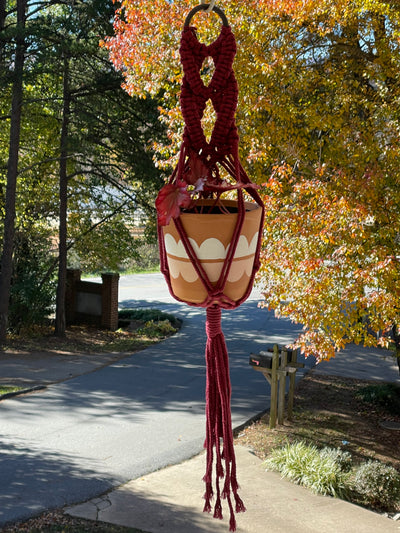 Chinaberry Marie Macramé Plant Hangers for a 4 inch potted plant. Handmade in the USA.
