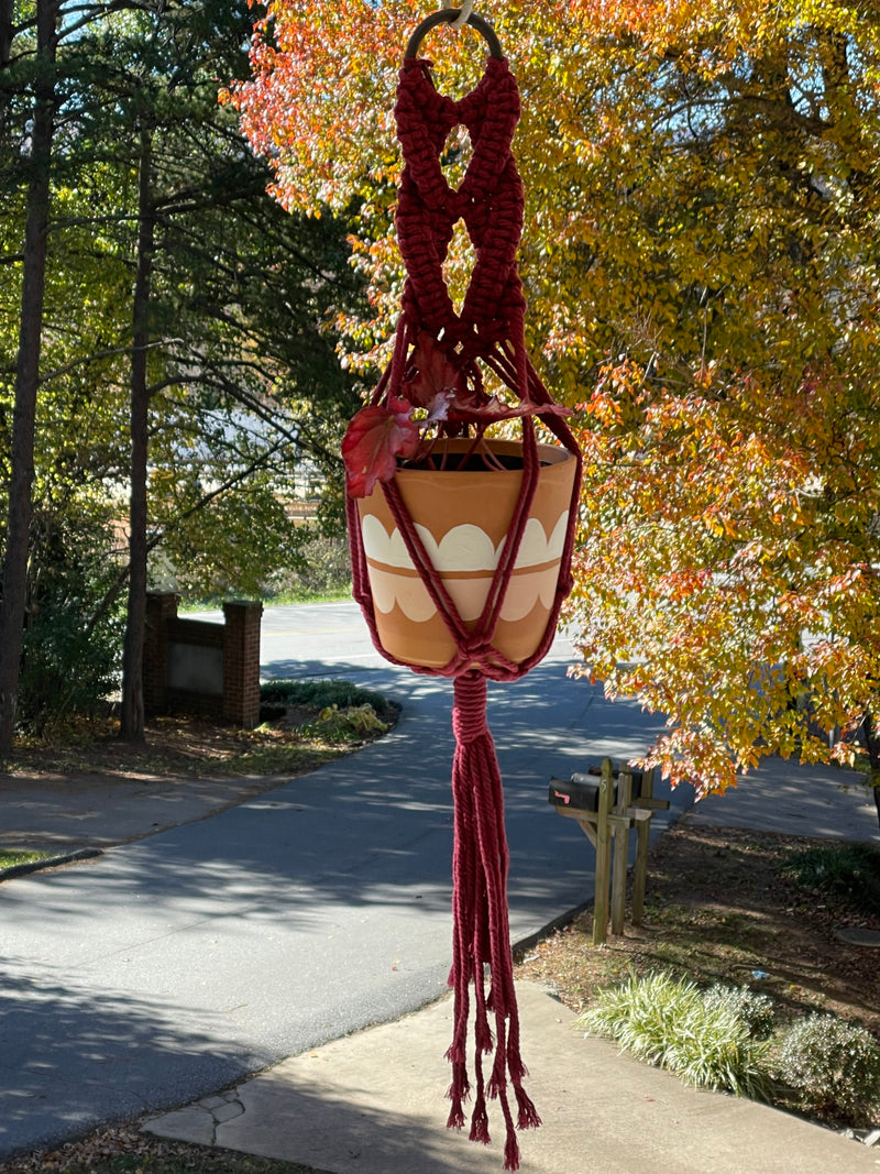 Chinaberry Marie Macramé Plant Hangers for a 4 inch potted plant. Handmade in the USA.