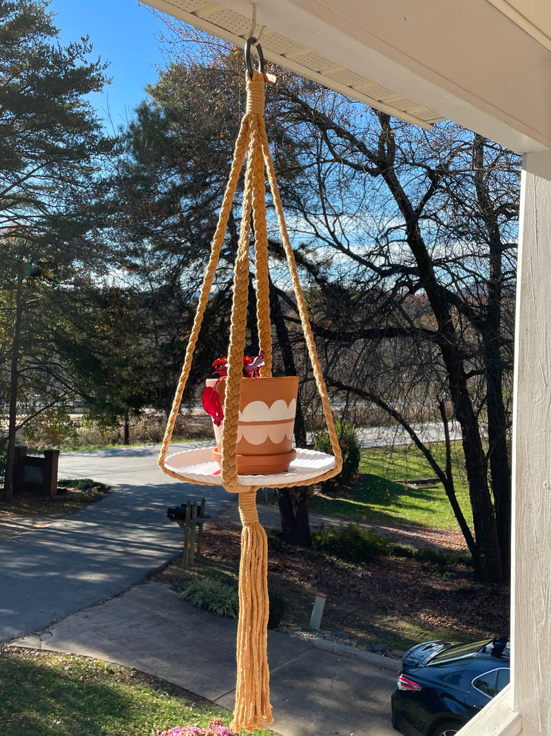 Minimal Anne Braided Plant Hangers