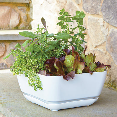 Large Garden Planters are American made with durable matte-finish resin in white from Harvest Array.