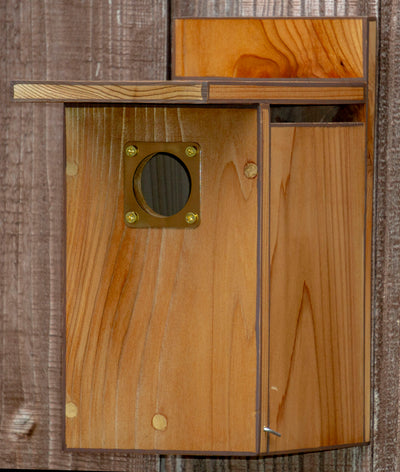Light Brown with Brown Trim, Stained Cedar Wood Nesting Box/Birdhouse with squirrel guard