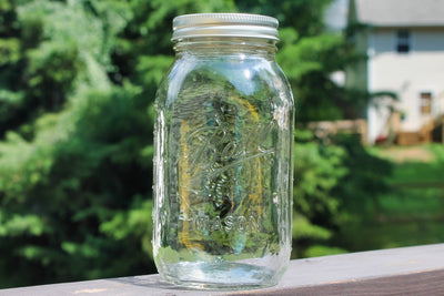 individual Jar of Mason Canning Jars - Regular 32 oz. (Quart) Ball