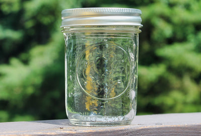 Individual Jar of Mason Canning Jars - Regular Jelly 8 oz (Half Pt.) Ball