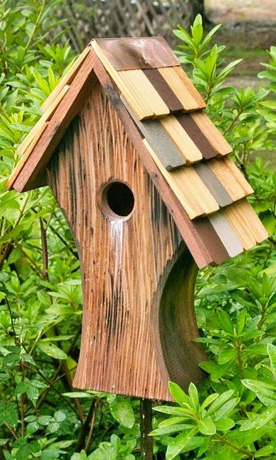 Nottingham style bird house