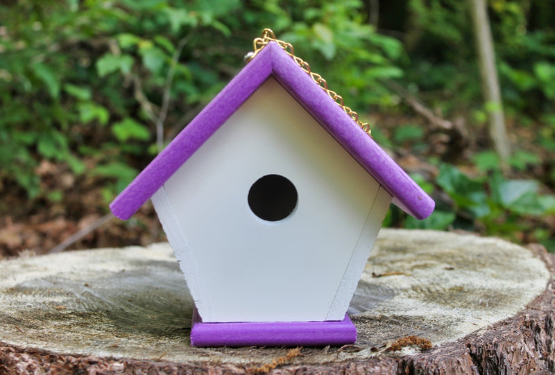 Front view of White and Purple Wren Birdhouse