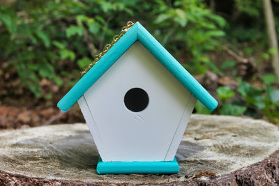 Close-up Front view of White and Teal Poly Wren Birdhouse