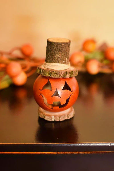 Looking for Halloween decorations and fall decor? Check out Tiny Fall Friend Arthur.