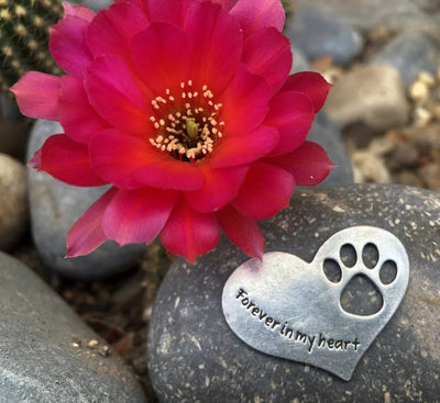 Forever in My Heart - Pet Memorial Pewter Heart on Rock Outside with flowers