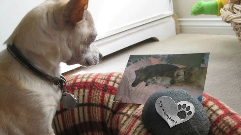 Pet Memorial Pewter Heart on Rock to remembers those pets who have left us