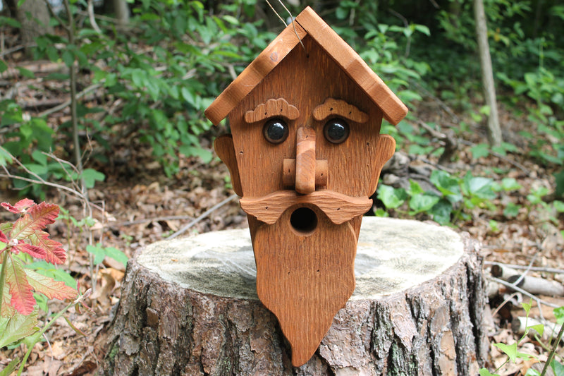 Wizard Shaped Amish Made Birdhouse in the forest