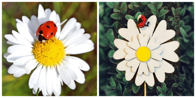 A real daisy with ladybug on it next to our wooden daisy and ladybug garden stake.