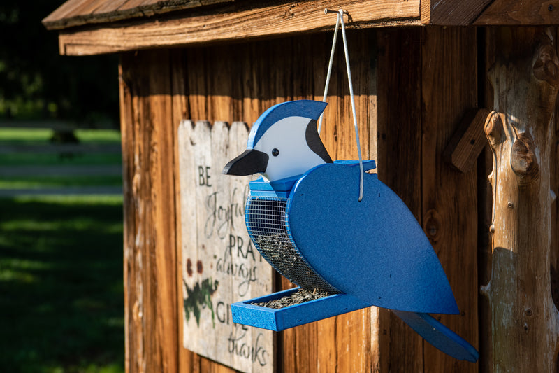 Blue Jay poly bird feeder outdoors