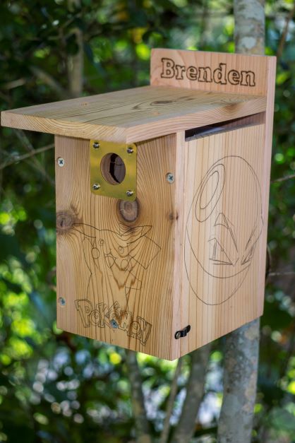 Personalized Pokemon Cedar Wood Nesting Box Birdhouse Kits for Kids with Paint Set for Bluebird, Titmouse, or Wrens