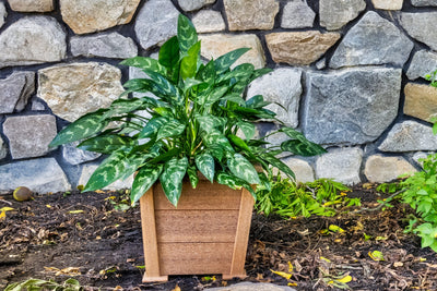 Shop affordable and durable small square poly planters - perfect for your patio or garden. No maintenance required, made from eco-friendly materials.